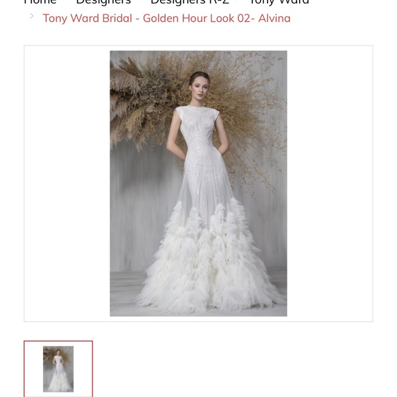 Tony Ward Couture “Alvina” wedding dress